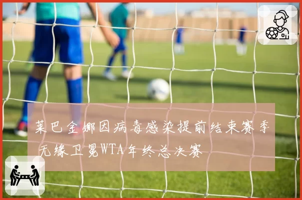 莱巴金娜因病毒感染提前结束赛季 无缘卫冕WTA年终总决赛